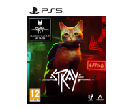 PlayStation Stray - 1056376 - zdjęcie 1